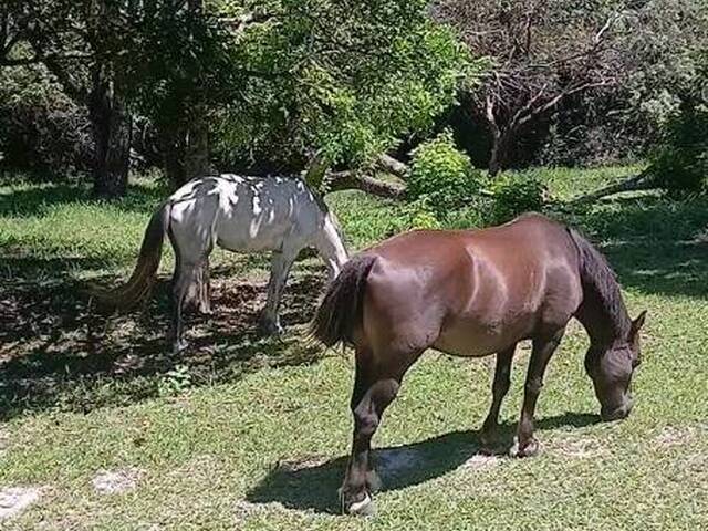 #921 - Área para Venda em Contagem - MG