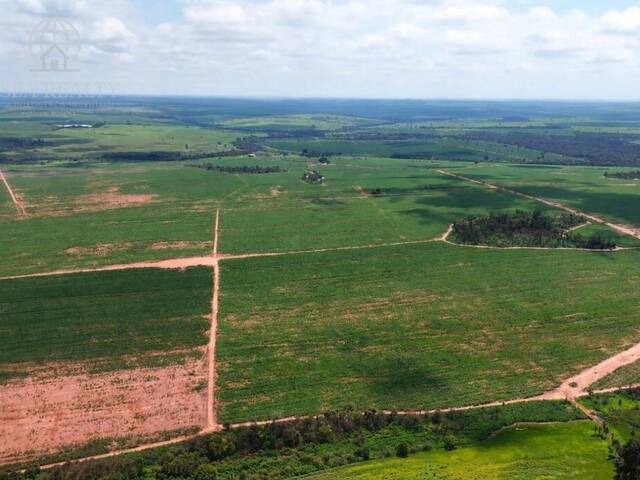 #1009 - Fazenda para Venda em Barretos - SP