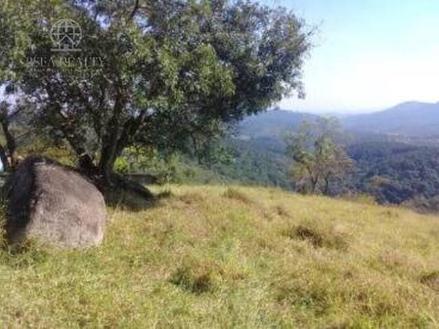 Carbono / CPR Verde para Venda em Santana de Parnaíba - 4
