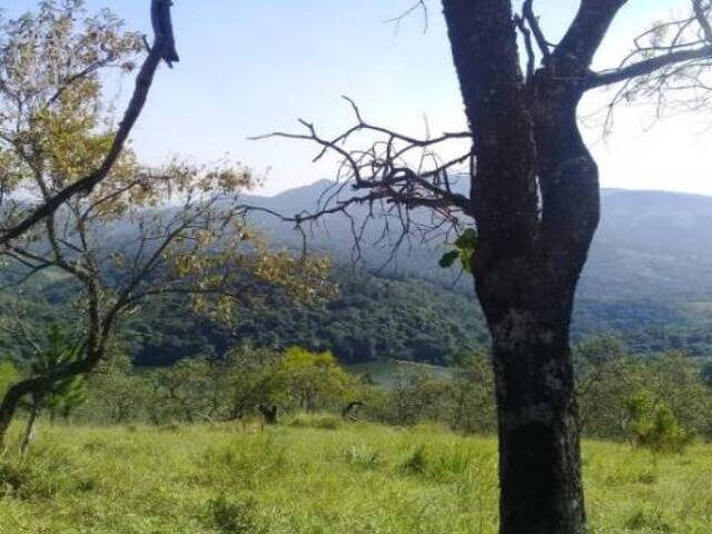 Carbono / CPR Verde para Venda em Santana de Parnaíba - 5