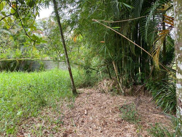 Terreno para Venda em Itanhaém - 4