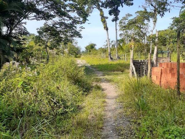 #1075 - Terreno para Venda em Itanhaém - SP