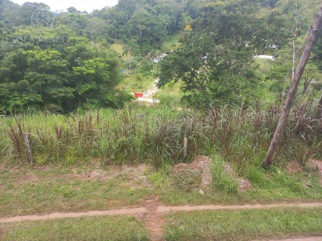 #237 - Terreno para Venda em Pedro de Toledo - SP