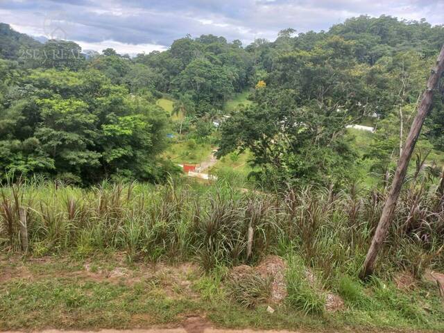 Terreno para Venda em Pedro de Toledo - 4