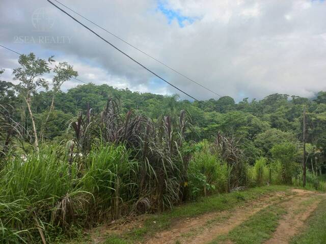 Terreno para Venda em Pedro de Toledo - 5