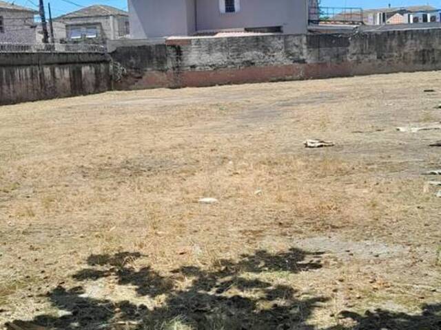 #434 - Área para Locação em Santos - SP