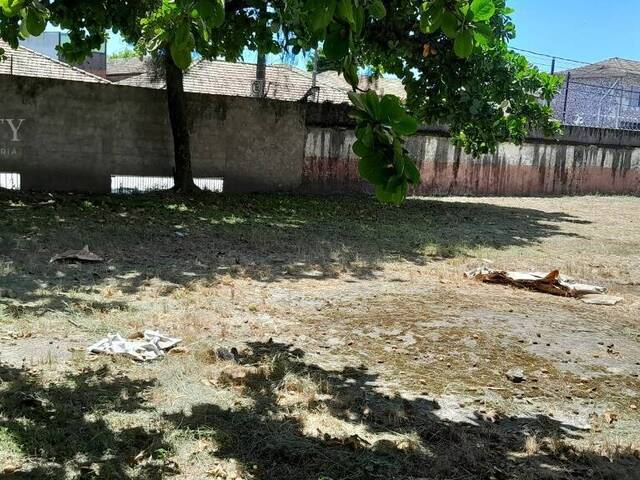 #434 - Área para Locação em Santos - SP