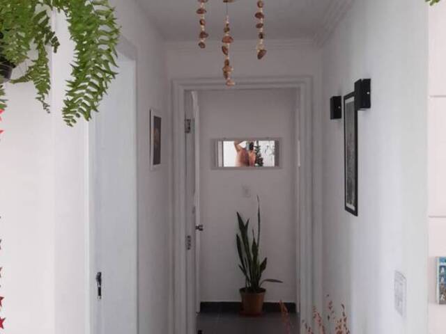 Apartamento para Venda em São Vicente - 4